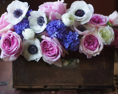 CB-2342_crate_flowers