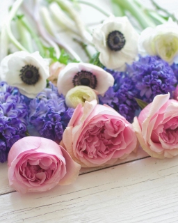 CB-2343_flowers_layered