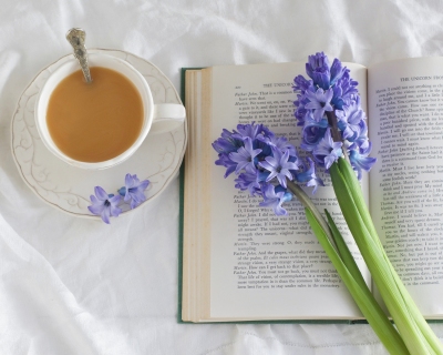 CB-2345_hyacinth_book