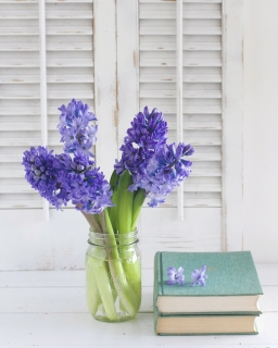 CB-2346_hyacinth_books