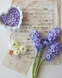 CB-2348_hyacinth_heart