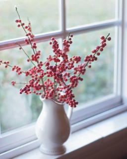 CB-2360_redberries_windowsill