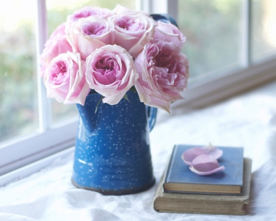 CB-2364_roses_window_horizontal