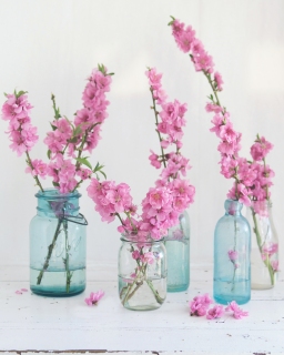 CB-2372_blossom_collection