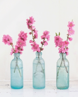 CB-2373_3bottles_blossom