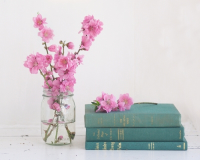 CB-2374_blossombooks