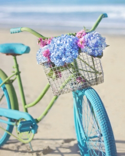 CB-2375_bicycle_beach