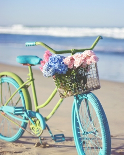 CB-2380_bicycle_beach3