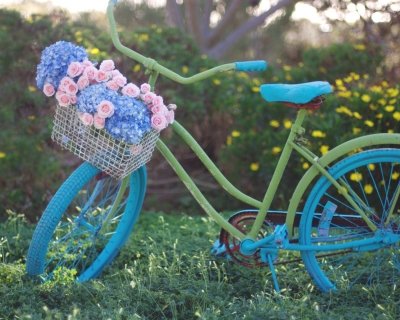 CB-2381_bicycle_garden
