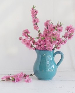CB-2382_blossom_bluejug
