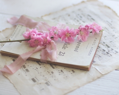 CB-2386_blossom-sheetmusic