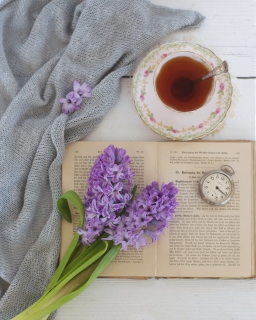 CB-2388_hyacinth_book