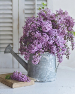 CB-2390_lilacs_wateringcan_vertical