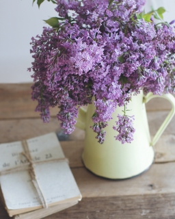 CB-2396_lilacs_yellowpot2