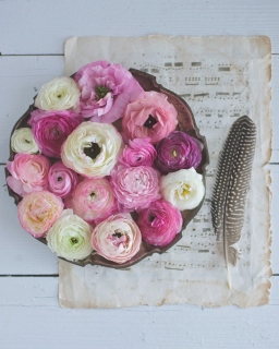 CB-2399_plate-of-ranunculus