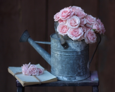 CB-2402_roses_wateringcan