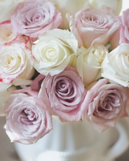 CB-2403_roses_white-pitcher