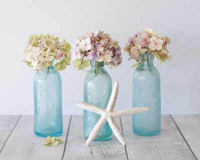 CB-2408_3bottles_hydrangea_starfish
