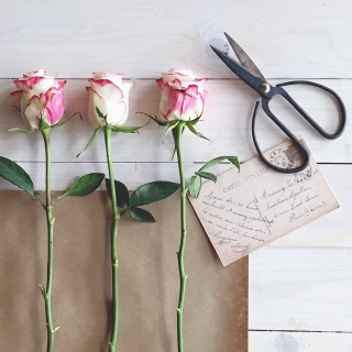 CB-2409_3roses_scissors