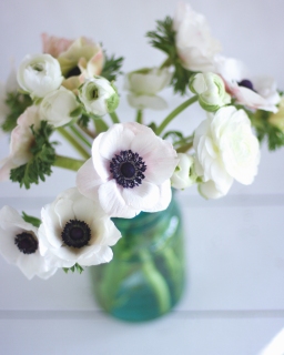 CB-2410_anemones_ranunculus