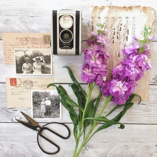 CB-2415_camera_photos_flowers