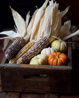 CB-2420_corn_pumpkins