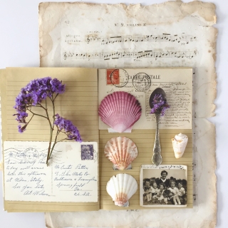 CB-2422_flatlay_shells_book_spoon
