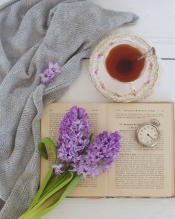 CB-2424_hyacinth_tea_book_sameas2388