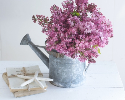 CB-2425_lilacs_wateringcan_starfish_horizontal