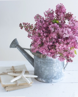 CB-2426_lilacs_wateringcan_starfish_vertical