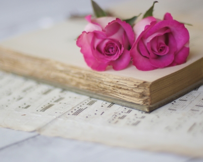 CB-2434_roses_book