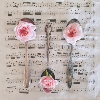 CB-2436_spoons_musicsheet