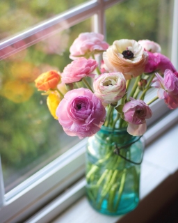 CB-2439_windowsill_ranunculus