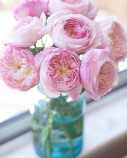 CB-2440_windowsill_roses