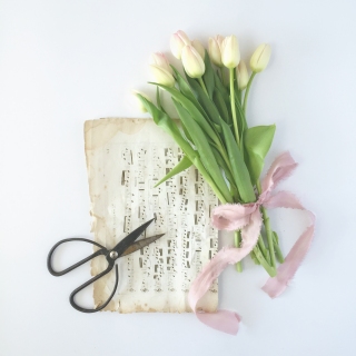 CB-2441_tulips-musicsheet1