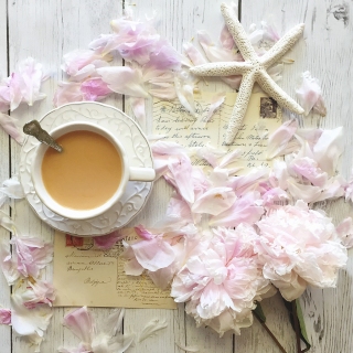 CB-2443_deconstructed-roses_starfish