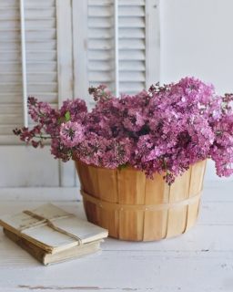 CB-2444_basket_lilacs