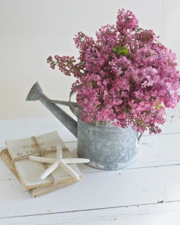 CB-2445_lilacs_vertical_nearlysameas2426