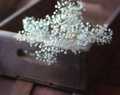 CB-2451_crate_babysbreath