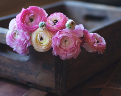 CB-2452_crate_flowers1 CB-2452_crate_flowers1