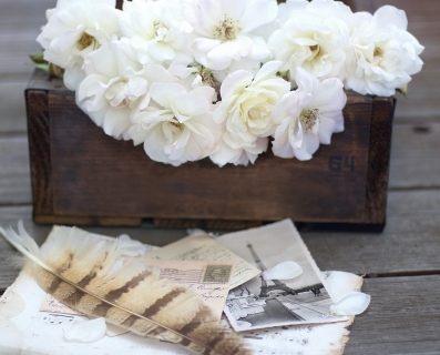 CB-2453_crate_flowers2