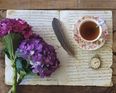 CB-2458_hydrangea_oldpaper_tea