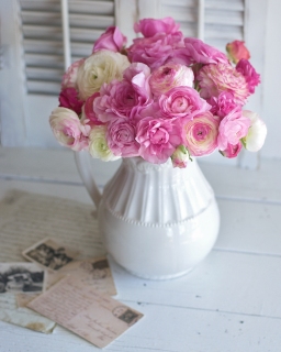 CB-2460_jarofranunculus