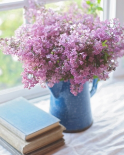 CB-2462_lilacs_windowsill_books