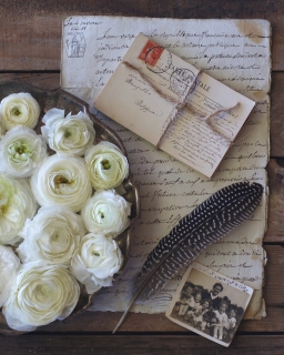 CB-2468_whiteranunculus_feather