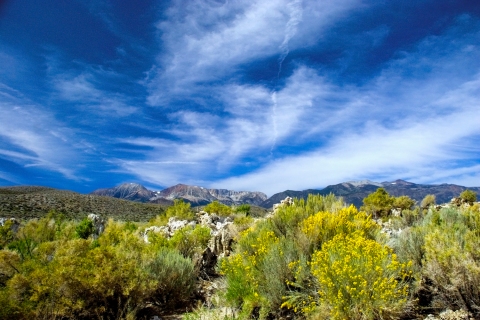 CB-2469_bigsky