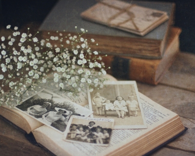 CB-2471_oldphotos_books_babysbreath