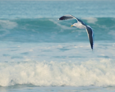 DSC_0025.NEF DSC_0025.NEF