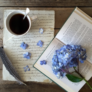 CB-2474_hydrangea_coffee