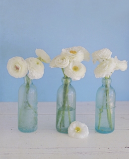 CB-2481_bottles_whiteflowers
